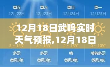 12月18日武鸣实时天气预报，深度解析天气变化，保障您的出行安全