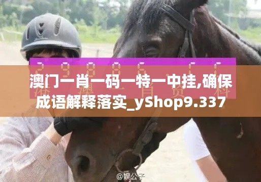 澳门一肖一码一特一中挂,确保成语解释落实_yShop9.337