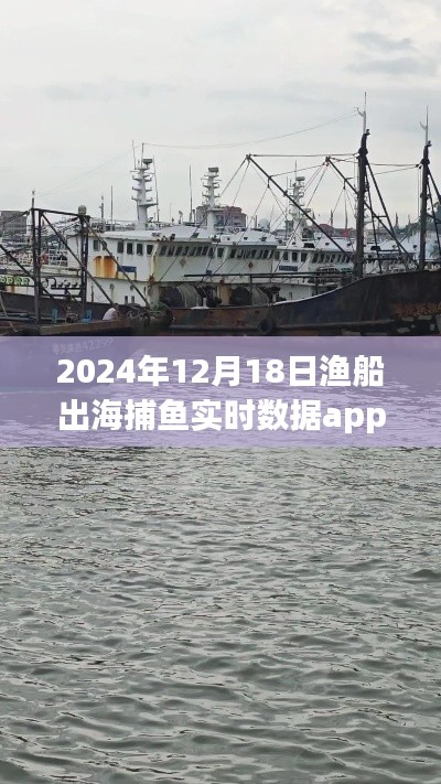 渔船出海捕鱼实时数据app记录，温馨故事与渔船的出海之旅（2024年12月18日）