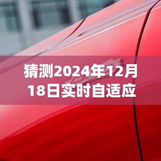 2024年12月18日 第44页