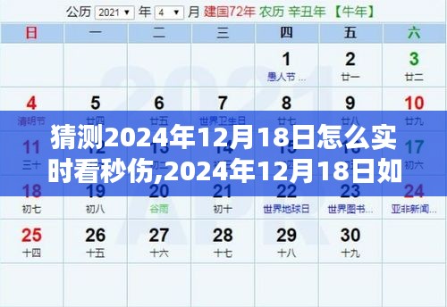 揭秘，如何实时观测2024年12月18日的秒伤数据与深度解析方法