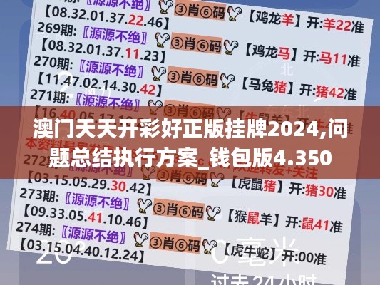 澳门天天开彩好正版挂牌2024,问题总结执行方案_钱包版4.350