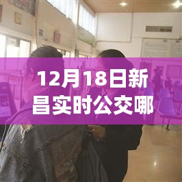 12月18日新昌实时公交查询攻略，便捷出行，实时掌握公交动态