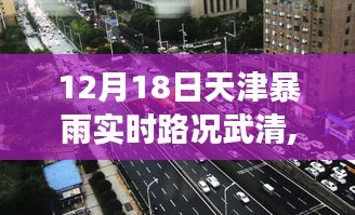 天津武清暴雨实时路况下的交通观察与个人观点分享