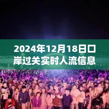 2024年12月18日 第11页