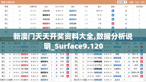 新澳门天天开奖资料大全,数据分析说明_Surface9.120