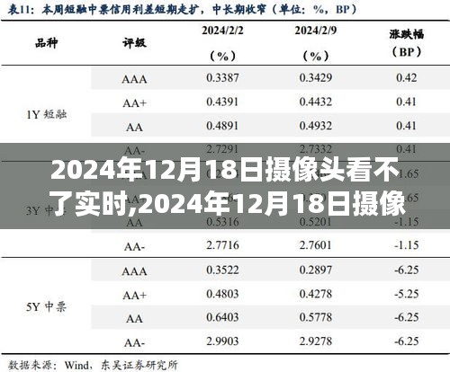 2024年12月19日 第19页