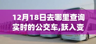 跃入变革浪潮，12月18日启程，实时公交查询开启学习与自信之旅