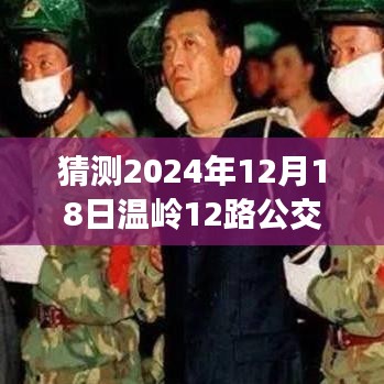 展望温岭公交未来，以温岭市公交12路探寻未来之路，预测2024年实时动态纪实