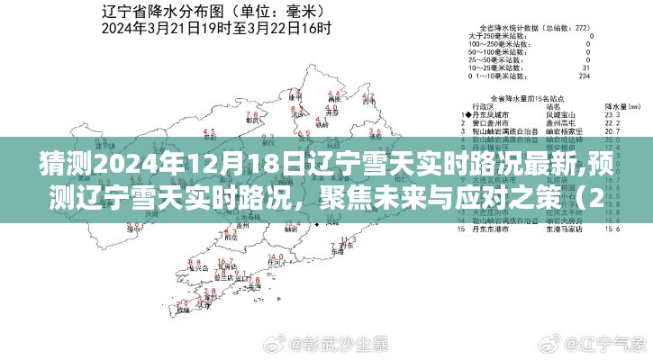 聚焦未来雪天路况，辽宁雪天实时路况分析与应对之策（预测至2024年12月）