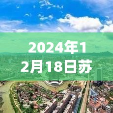 2024年12月19日 第10页