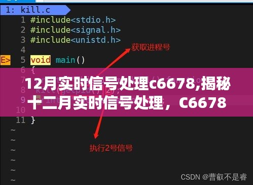 揭秘十二月实时信号处理C6678芯片核心技术与应用案例