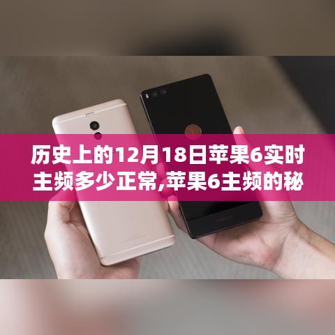 苹果6主频揭秘，历史回忆与正常性能参数探讨