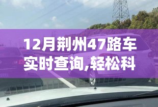 2024年12月19日 第6页