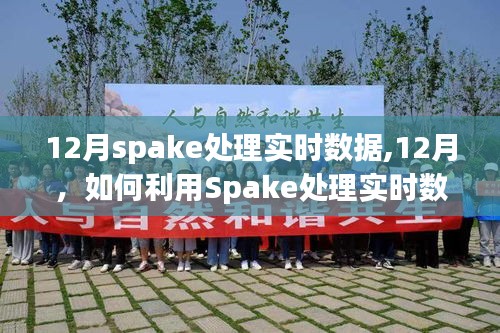 12月Spake实时数据处理，高效方法与案例解析