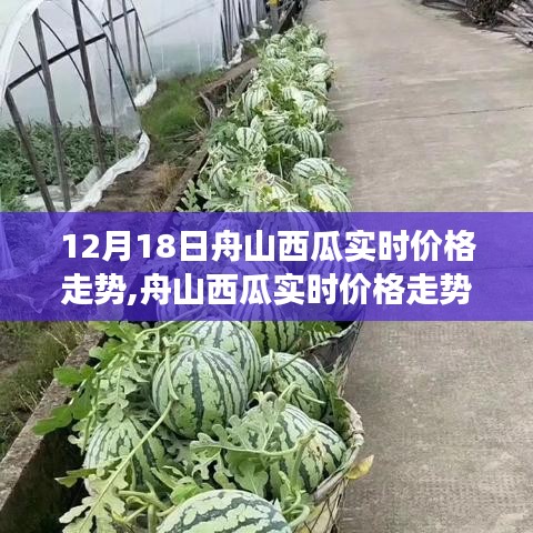 舟山西瓜实时价格走势分析——以十二月十八日观察为例