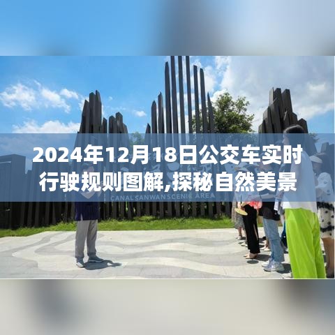 探秘自然美景之旅，揭秘公交车行驶规则图解，启程寻找内心的宁静之旅（2024年12月18日实时更新）