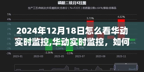 华动实时监控解读指南，2024年12月18日监控数据深度分析