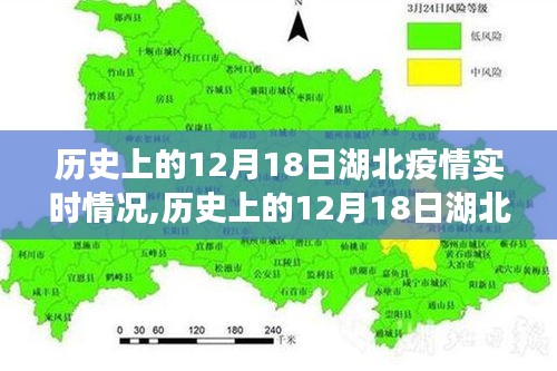 历史上的12月18日湖北疫情实时情况深度解析