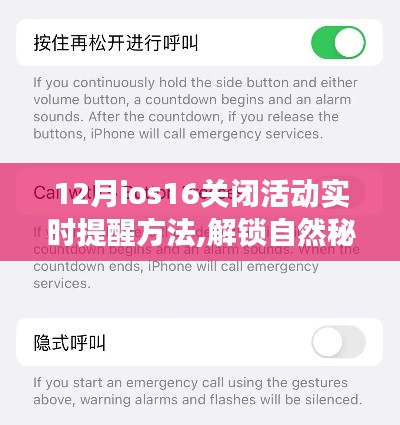 iOS 16关闭活动实时提醒指南，解锁自然秘境，寻求内心宁静