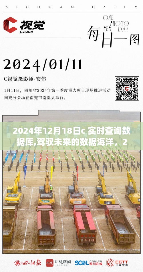 驾驭数据海洋，实时查询数据库的自信成长之旅（2024年）