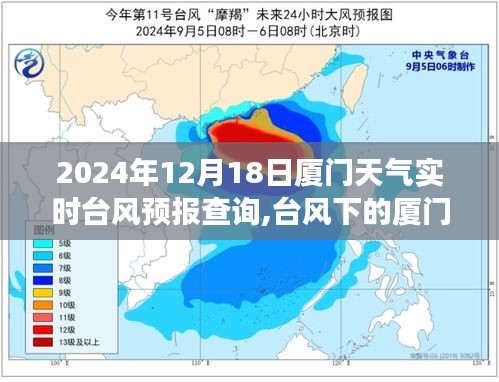 台风下的厦门之旅，实时天气预报与心灵探索之旅