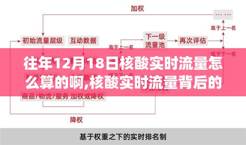 探寻内心平静的奥秘，往年核酸实时流量的自然之旅与计算方式解析