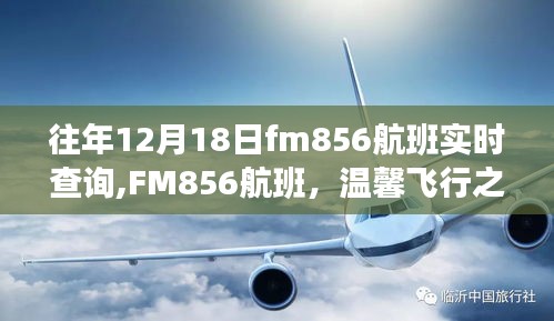 FM856航班温馨飞行之旅实时查询系统启动，往年12月18日航班动态一网打尽