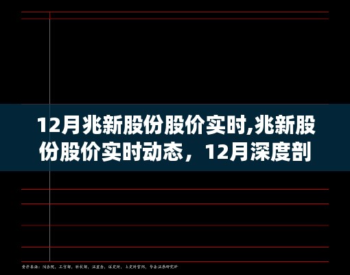 深度剖析，兆新股份股价实时动态及十二月股市行情展望