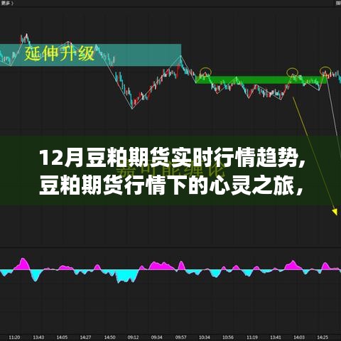 豆粕期货行情趋势下的心灵与自然之旅，探寻内心宁静与实时行情动态