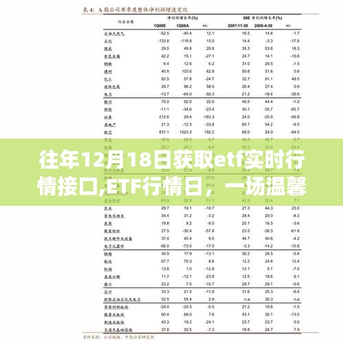 ETF行情日，数据之旅的温馨纽带与友情桥梁