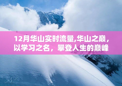 华山实时流量启示，攀登人生巅峰的学习之旅