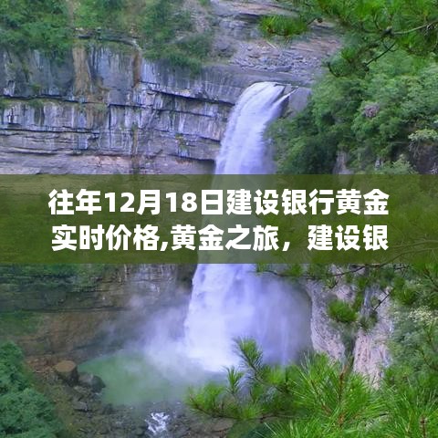 建设银行黄金实时价格与自然美景的双重魅力，黄金之旅的启示