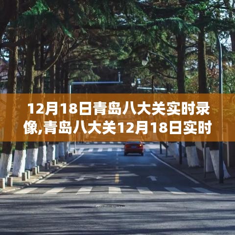 青岛八大关12月18日实时探秘，与自然美景的邂逅，踏寻内心宁静之旅