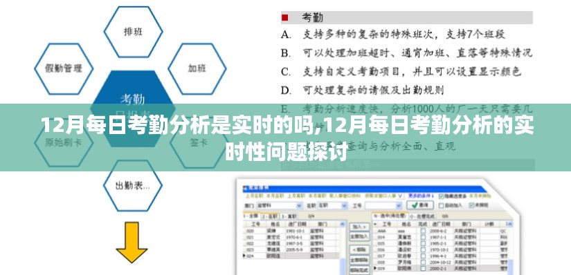 探讨，12月每日考勤分析的实时性问题解析