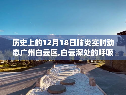 广州白云区肺炎实时动态与穿越历史的自然之旅，白云深处的呼吸新生