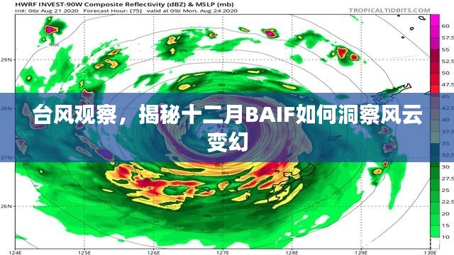 揭秘十二月BAIF如何洞察风云变幻，台风观察深度解析