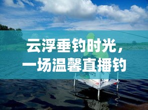 云浮垂钓时光，直播钓鱼的温馨之旅