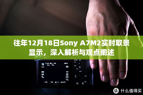 Sony A7M2实时取景功能深度解析与观点阐述