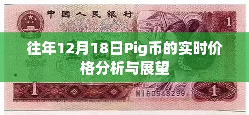 往年12月18日Pig币实时价格分析与未来展望