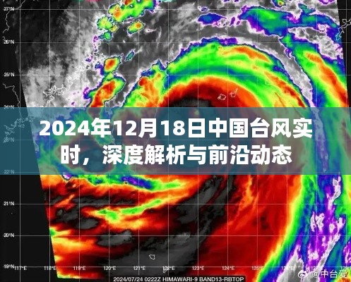 2024年台风实时动态，深度解析与前沿资讯