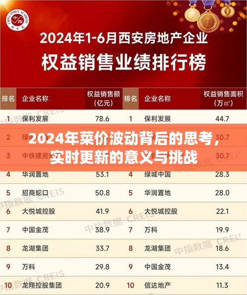 2024年菜价波动背后的思考，实时更新的意义与挑战