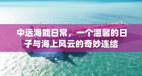 中远海能的温馨日常与海上风云的奇妙交织