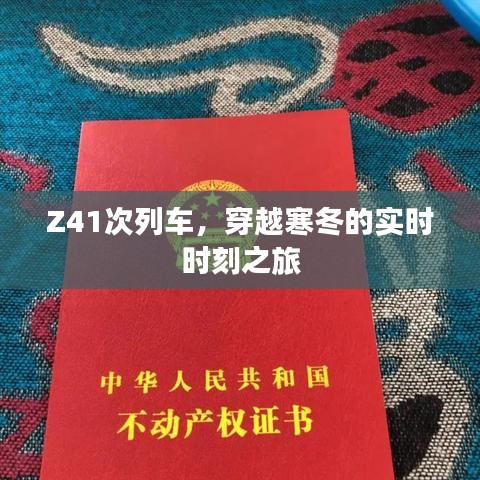 2024年12月22日 第6页