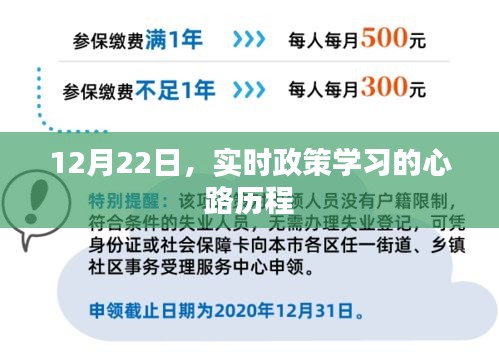 实时政策学习的心路历程分享，从实践到成长