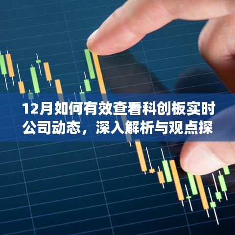 科创板十二月动态解析，实时查看公司动态与观点探讨