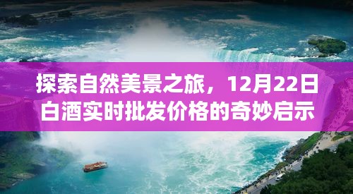 自然美景探索之旅与白酒批发价格的奇妙启示，一场不期而遇的启示之旅