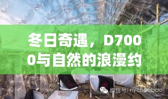 冬日与自然浪漫相约，尼康D7000探寻内心宁静之地