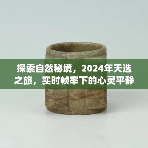 探索自然秘境，天选之旅的心灵平静之旅（实时帧率记录，2024年）