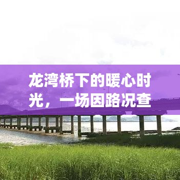 龙湾桥下的暖心时光，路况查询引发的奇妙旅程